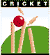 cricket.gif (1207 bytes)